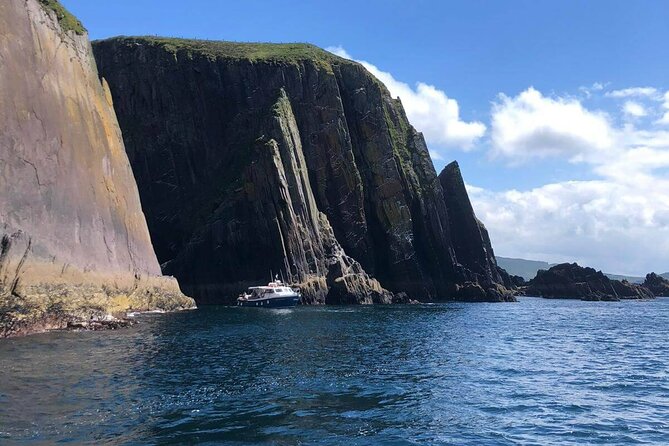 1 hour Dingle Bay Cliff Tour - Leaving Dingle Pier for the bay