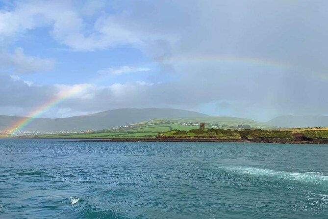 1 hour Dingle Bay Cliff Tour - Why the cliffs look different from the water