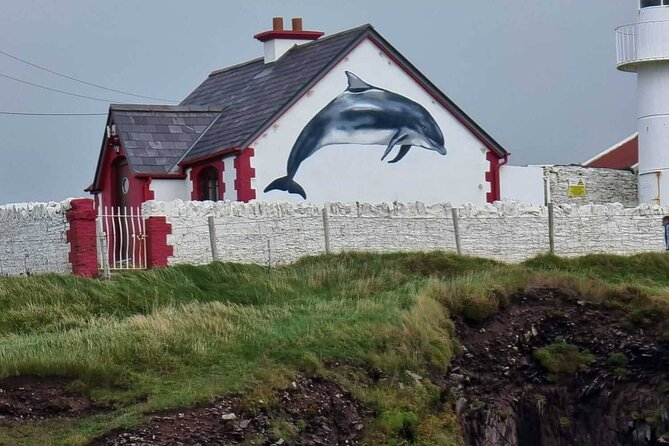 1 hour Dingle Bay Cliff Tour - What the one-hour timing really gives you