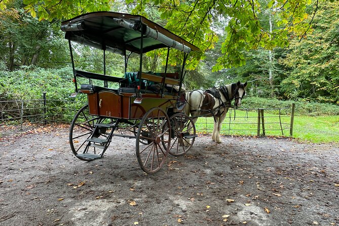 1 Hour Guided Carriage Tour in Killarney National Park - Passing Deenagh Lodge and entering the park
