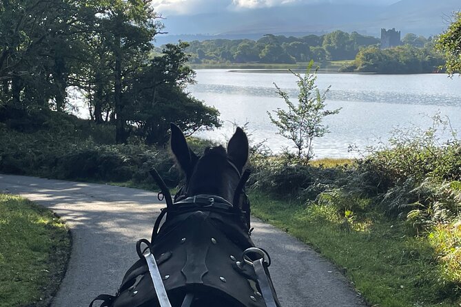 1 Hour Guided Carriage Tour in Killarney National Park - The return route and the one real compromise