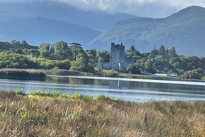 1 Hour Guided Carriage Tour in Killarney National Park - The horse, carriage, and comfort level