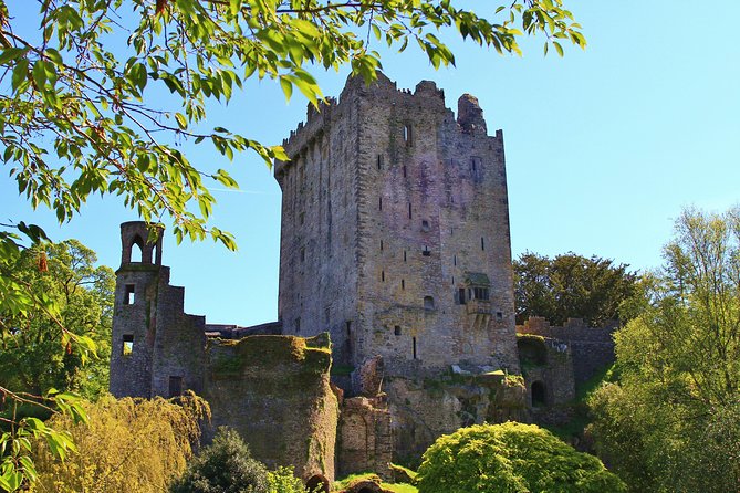 10-Day Ultimate Small-Group Tour of Ireland from Dublin - Day 2: Kenmare and Killarney National Park