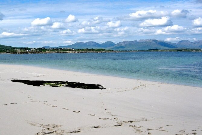 2.5 Hour Guided Sea Kayaking in Roundstone Bay - What Ciara Adds To The Experience