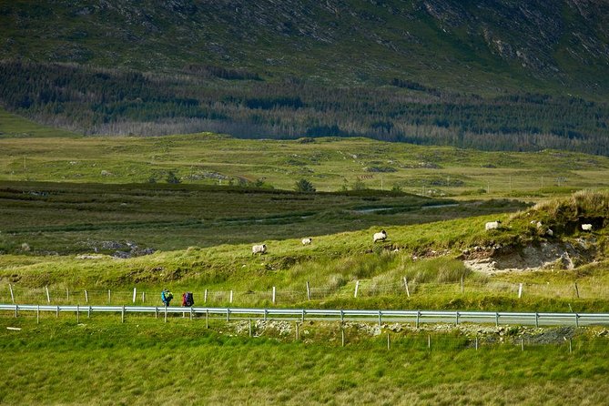2-Day Western Ireland Tour from Dublin:Including Galway and Cliffs of Moher - The return to Dublin and the bus-change issue