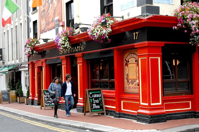 2 Hour Walking Tour of Dublin's City Centre - Christ Church Cathedral and the medieval city