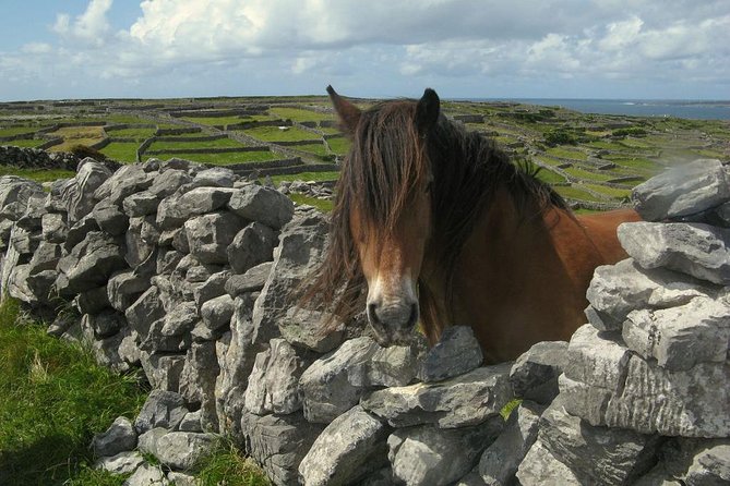 3-Day Southern Ireland Tour Including Galway and Kerry from Dublin - Accommodation, breakfast, and the practical gaps