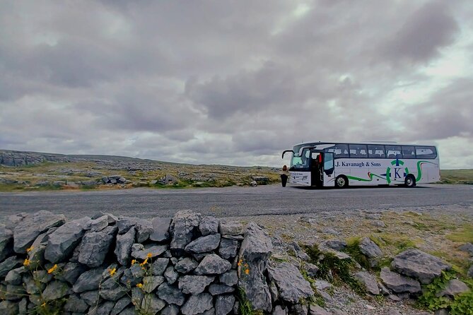 4-Day Guided Tour to Discover Ireland and Dublin - Day three: a focused Dublin day with Guinness and Jameson