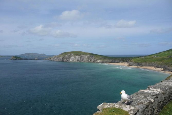 5-Day Northern Ireland and Atlantic Coast Small-Group Tour from Dublin - Day 4: Connemara and the Twelve Bens