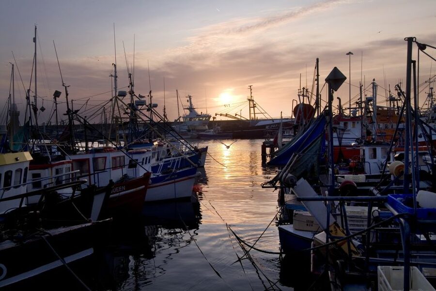 6-Day Tour of Southern Ireland from Dublin - The Ring of Kerry means scenery and road time