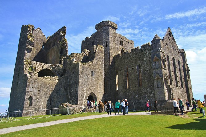 7-Day Great Atlantic Adventure Small-Group Tour of Ireland from Dublin - Day 4: Sheepdogs and the Cliffs of Moher