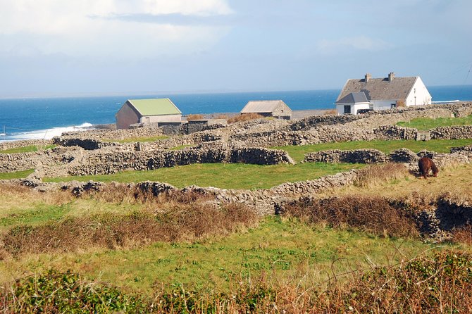 Aran Island, Cliffs of Moher & Cruise tour from Galway. Guided. - The return through Lisdoonvarna