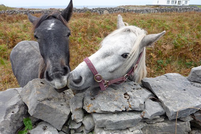 Aran Islands Scenic Flight and Galway Rail Tour from Dublin - Returning to Galway for a few free hours