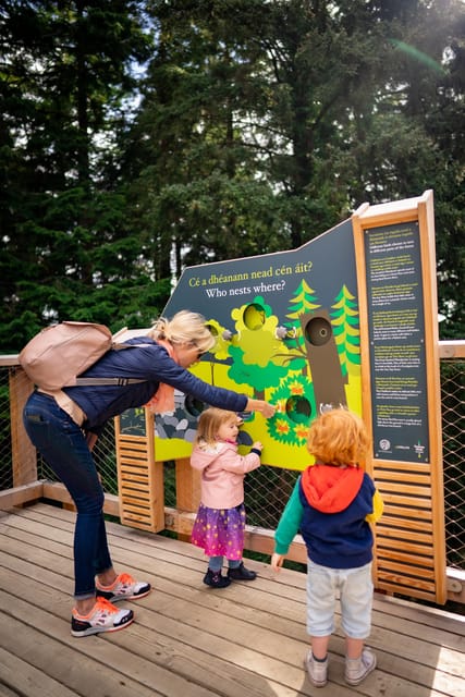 Avondale: Beyond the Trees Treetop Walk & Tower Entry Ticket - Weather, clothing, and timing