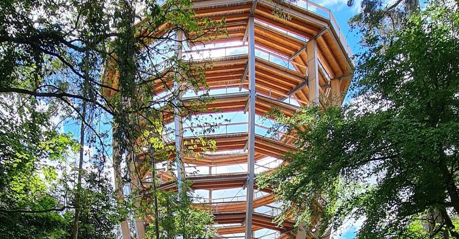 Avondale: Beyond the Trees Treetop Walk & Tower Entry Ticket - Play stations and forest lessons for children