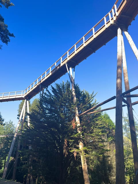 Avondale: Beyond the Trees Treetop Walk & Tower Entry Ticket - The 38-meter platform and Wicklow views