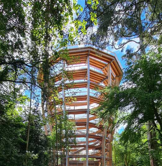 Avondale: Beyond the Trees Treetop Walk & Tower Entry Ticket - The first 1.4 kilometers through Avondale Forest