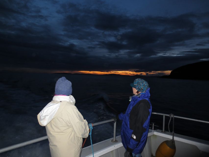 Baltimore Harbor: Sunset Cruise to Fastnet Rock Lighthouse - Making the most of the three hours