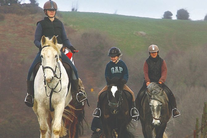 Beach & countryside horse riding outside Westport. Guided. 1 hour - Key points to know before you book