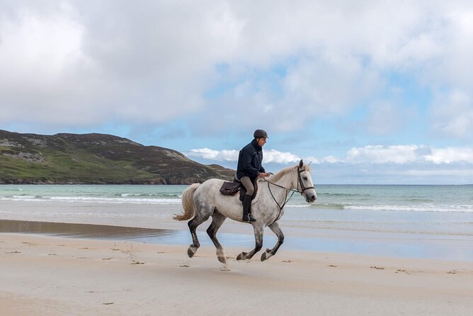 Beach & countryside horse riding outside Westport. Guided. 1 hour - Tide, weather, and the best time to ride