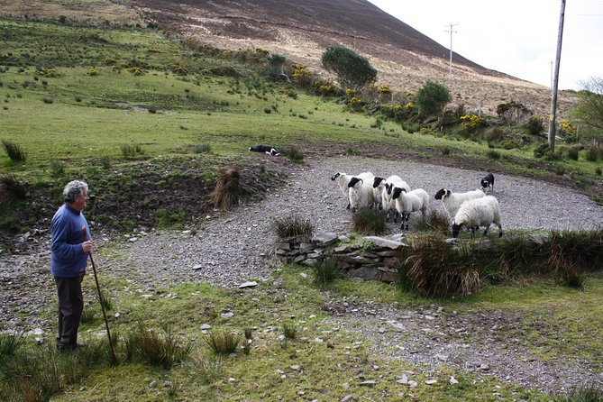 Best Ring of Kerry Tour ex Killarney inc Killarney National Park - Waterville gives you a short seaside pause