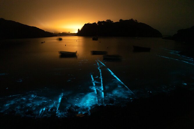 Bioluminescent Swim Experience in West Cork with Storytelling - A night swim unlike a standard Cork tour
