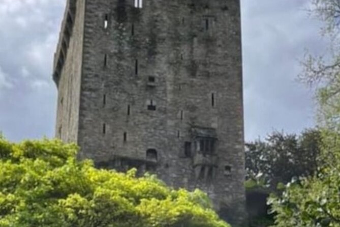 Blarney Castle and Cork City 2025 award winning minibus tour - Cork’s English Market in 20 minutes