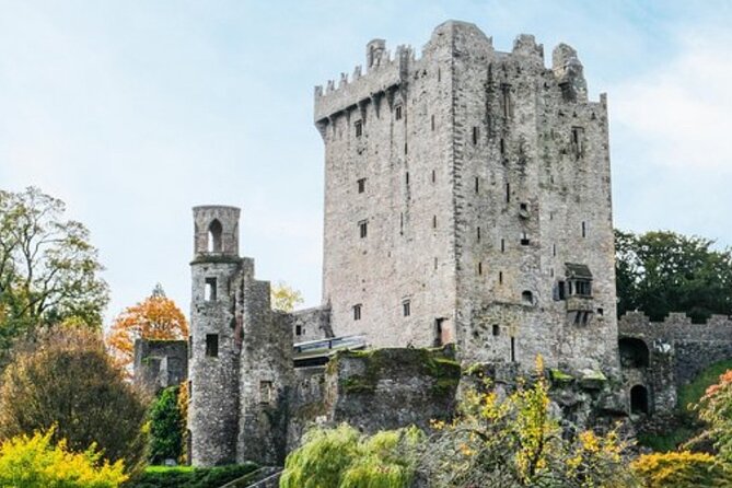 Blarney Castle and The Rock of Cashel with Private Chauffeur Tour - The Rock of Cashel, Ireland’s great hilltop ruin