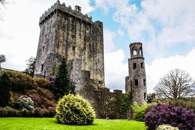 Blarney Castle, Cork City and Cobh Private Tour from Killarney - Blarney Castle and gardens, with the climb above the trees
