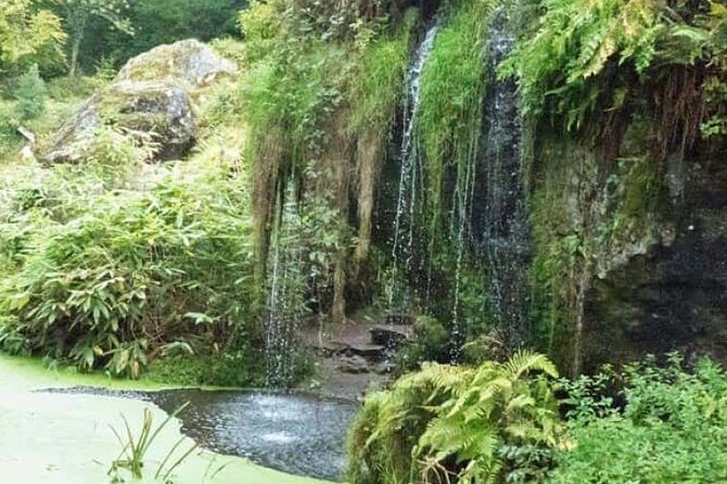 Blarney Castle Cork City and Jameson Distillery Small groups - Is the $247.84 price fair?