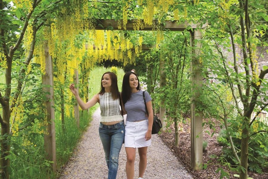 Blarney Castle Full-Day Tour from Dublin - The Rock of Cashel and its Celtic remains