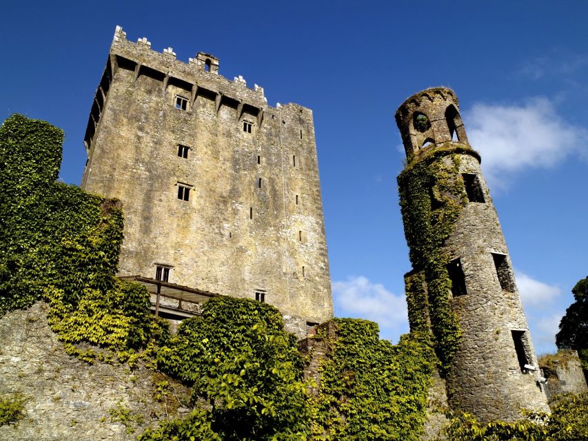 Blarney Castle Full-Day Tour from Dublin - Cork in one useful hour