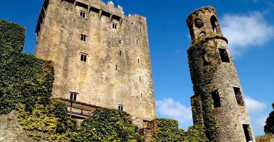 Blarney Castle Full-Day Tour from Dublin - The guide can make or break a 13-hour day