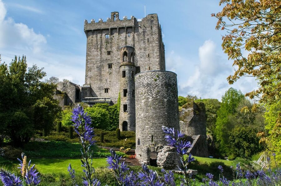 Blarney Castle: Private Guided Day Tour from Dublin - Transport, Timing, and the Cost of the Day