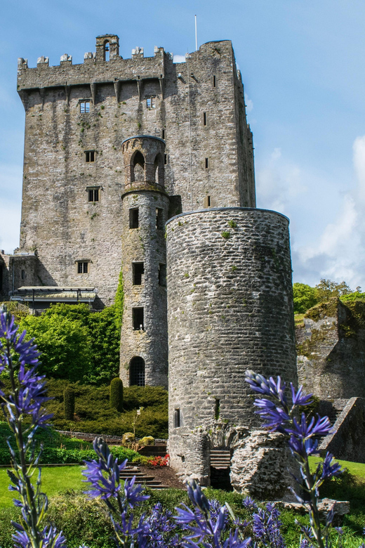 Blarney Castle: Private Guided Day Tour from Dublin - The Rock of Cashel and Its High Tipperary Setting