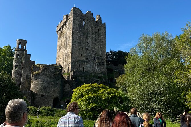 Blarney,Cork City,Kinsale,Ultimate Private Guided Minibus Tour. - Blarney Castle and gardens: allow two full hours