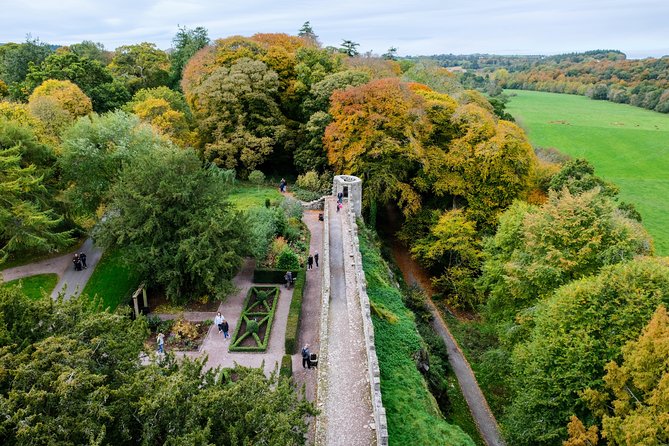 Blarney, Rock of Cashel & Cahir Castles Day Tour From Dublin - Blarney Castle and the famous stone