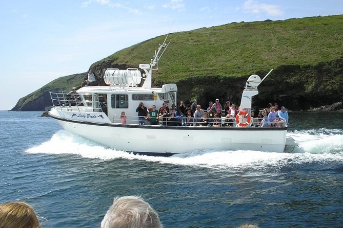 Blasket Island Eco Tour. - Key points to know before booking