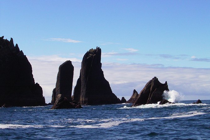 Blasket Island Eco Tour. - Who will enjoy the ride most?