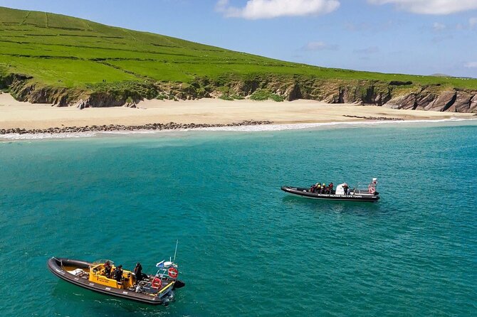Blasket Island Sea Life Rib Tour, - Key points to know before booking