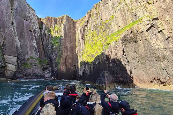 Blasket Island Sea Life Rib Tour, - Dolphins, seals, whales, and puffins