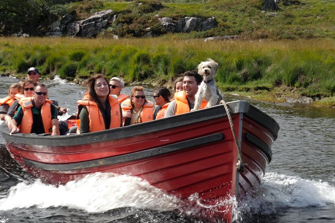 Boat Only Ticket (Walk the Gap of Dunloe) - Ross Castle and the 11am departure