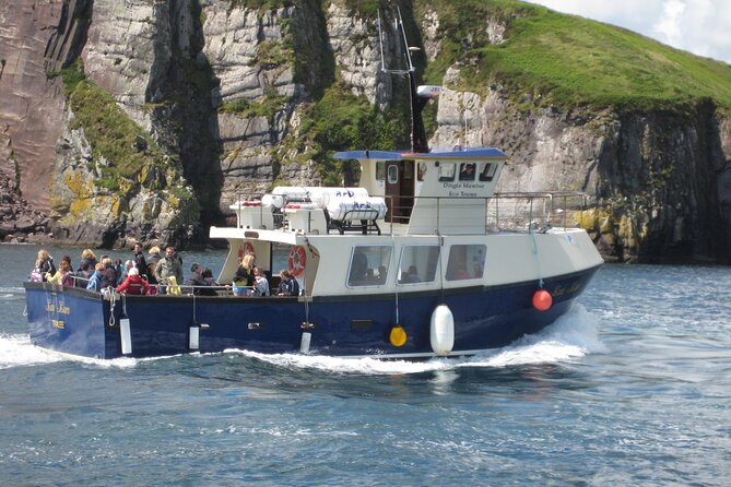 Boat Tour of Dingle Peninsula - Key points to know before boarding