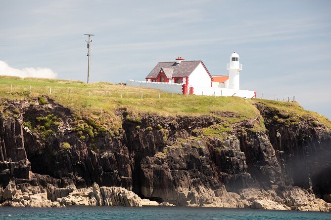 Boat Tour of Dingle Peninsula - Why seeing Dingle from the bay matters