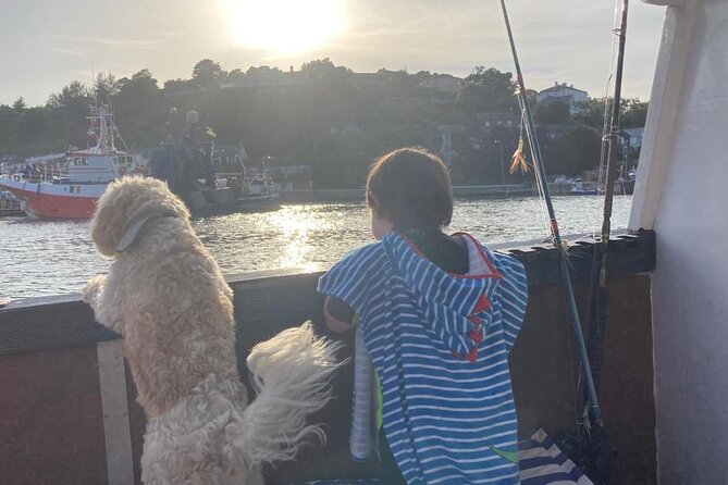 Boat Tour of Kinsale Harbour and Bandon River - What the three to four hours feel like