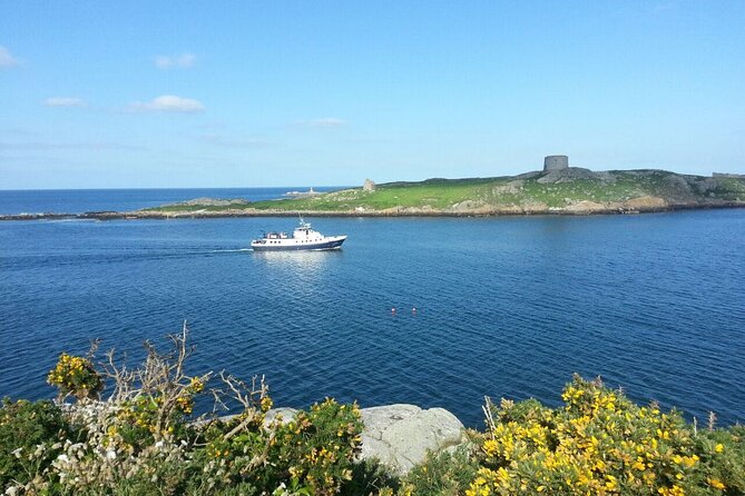 Boat Trip from Dublin City to Dun Laoghaire - Dublin Port and Poolbeg Lighthouse