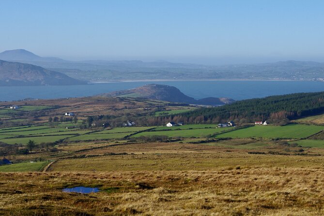 Bog Safari Hike - Why a Donegal bog is worth your time