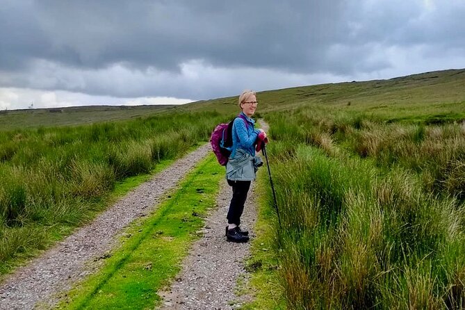 Bog Safari Hike - Reading the bog one step at a time