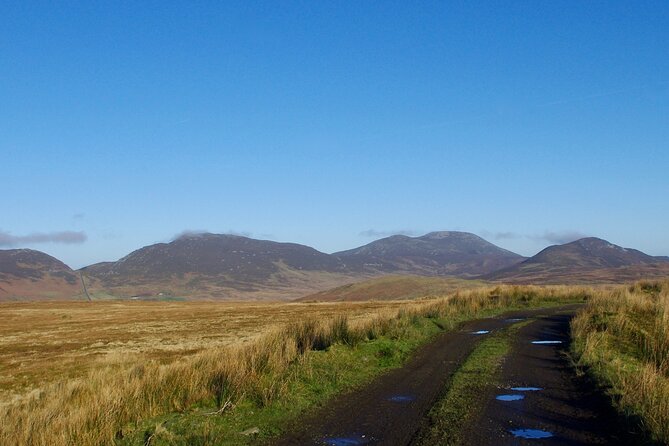 Bog Safari Hike - Turf cutting and the bog’s working life