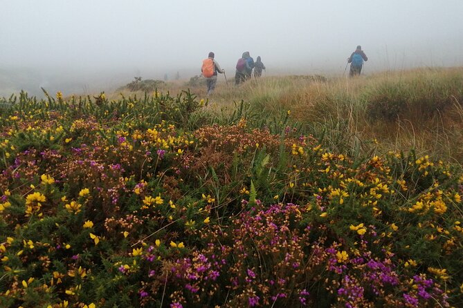 Bog Safari Hike - Wildlife, climate, and green energy